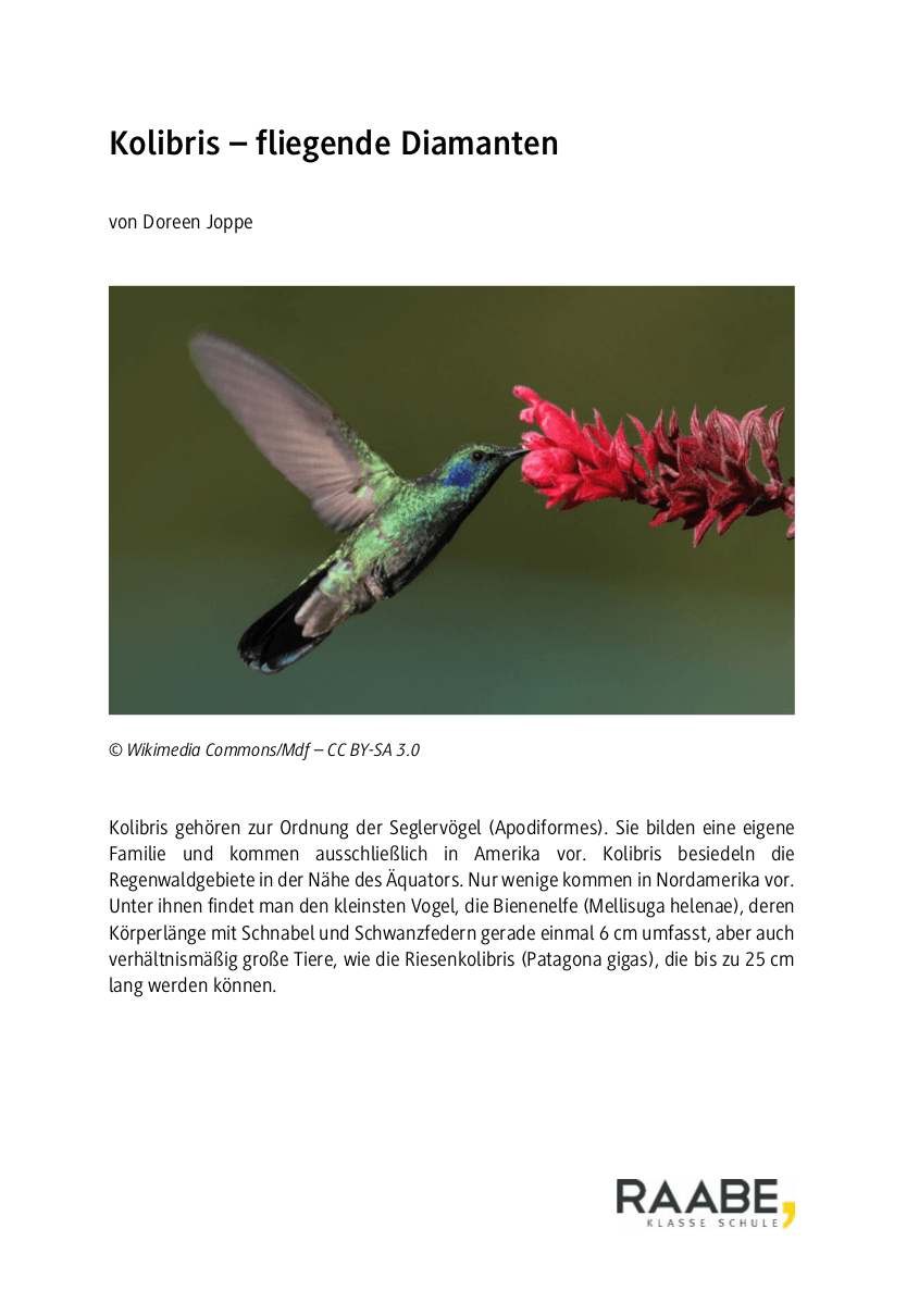 Kolibris