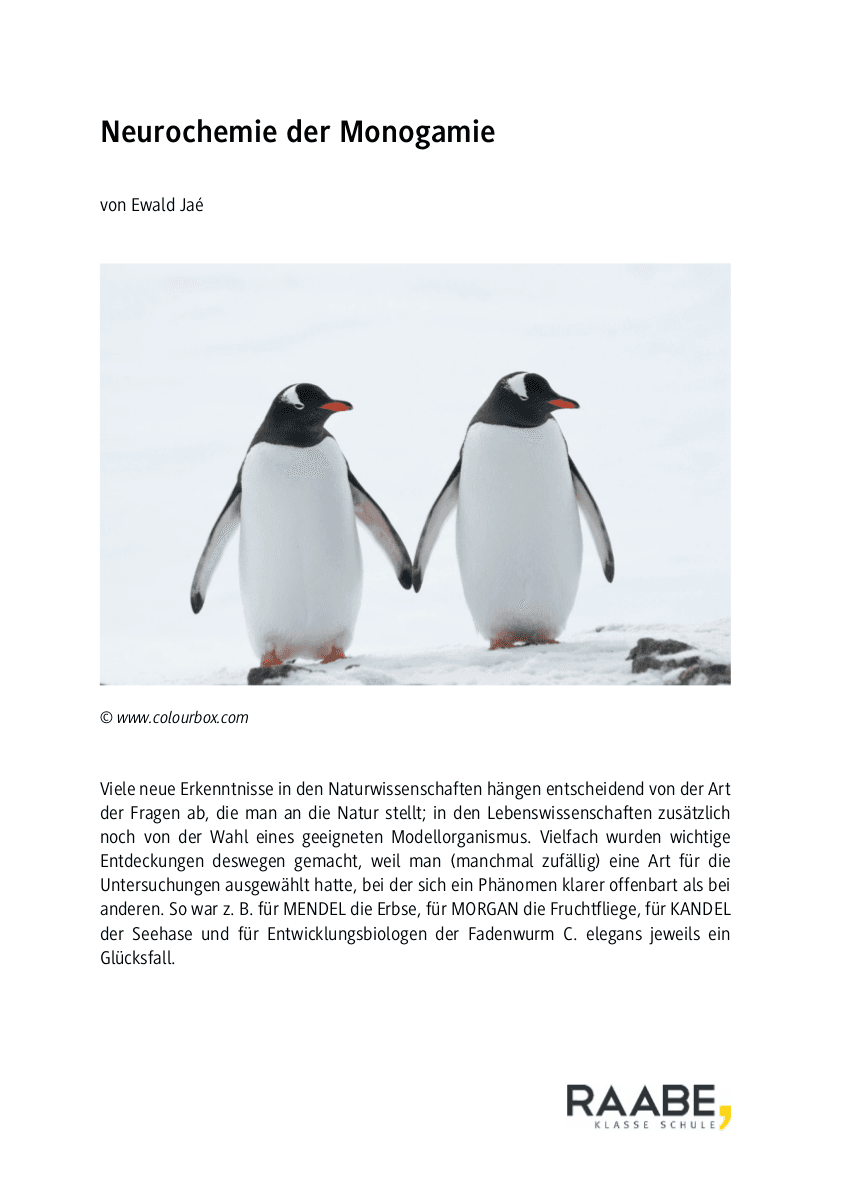 Neurochemie der Monogamie