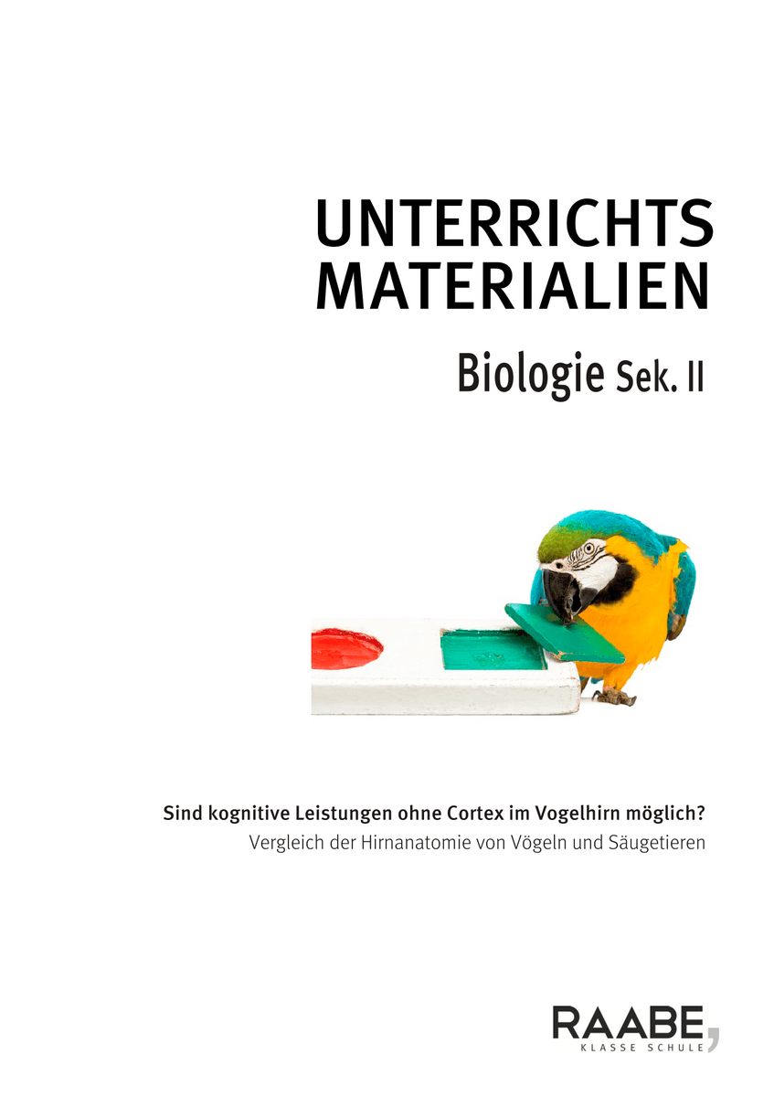 Sind kognitive Leistungen ohne Cortex im Vogelhirn möglich?