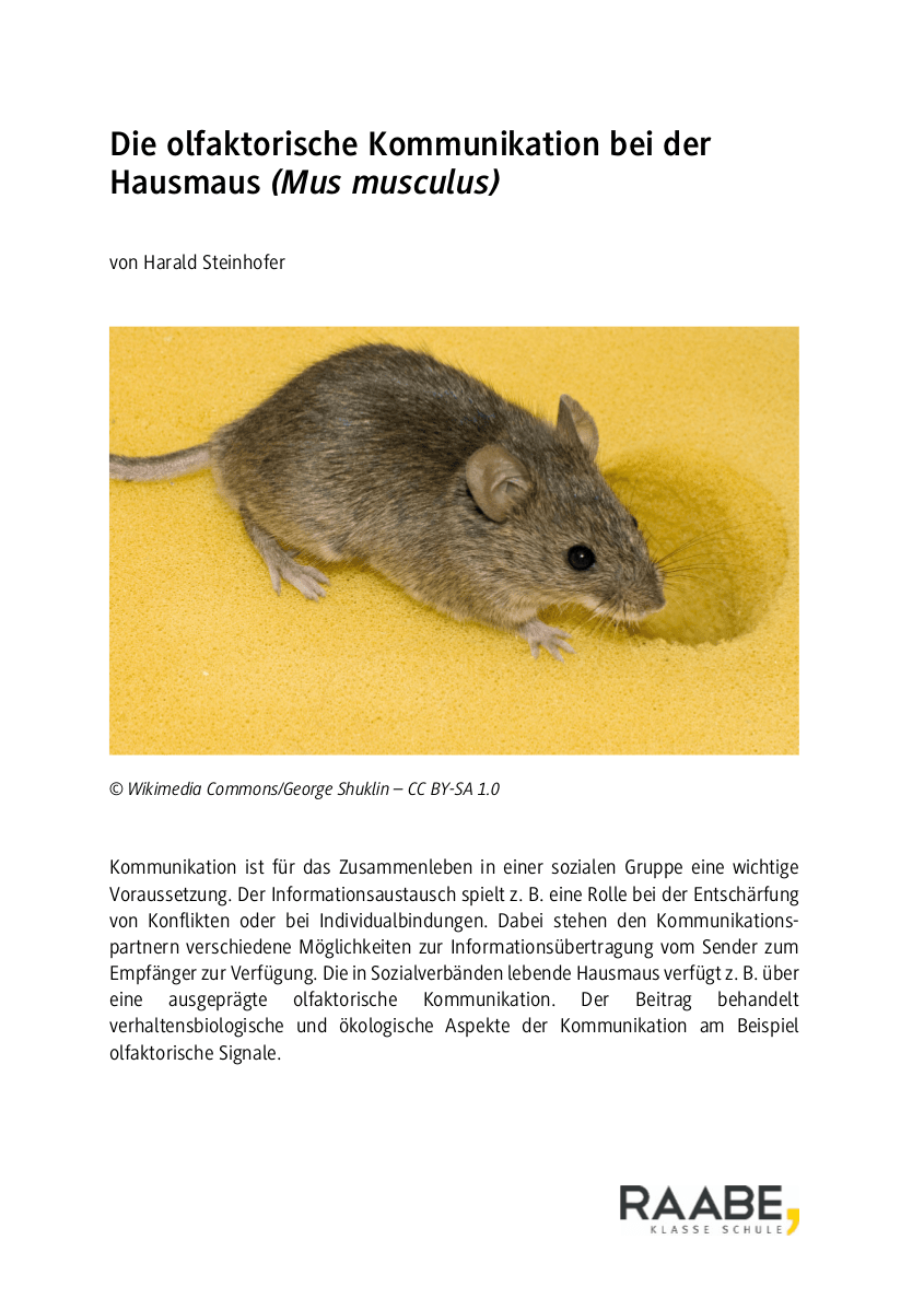 Die olfaktorische Kommunikation bei der Hausmaus (Mus musculus)