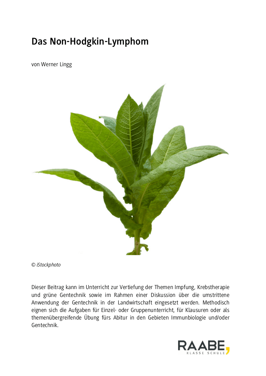 Das Non-Hodgkin-Lymphom