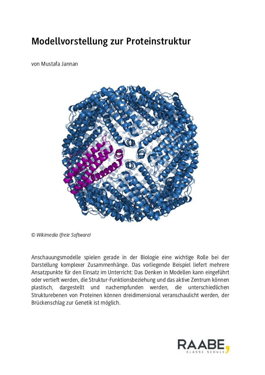 Modellvorstellung zur Proteinstruktur