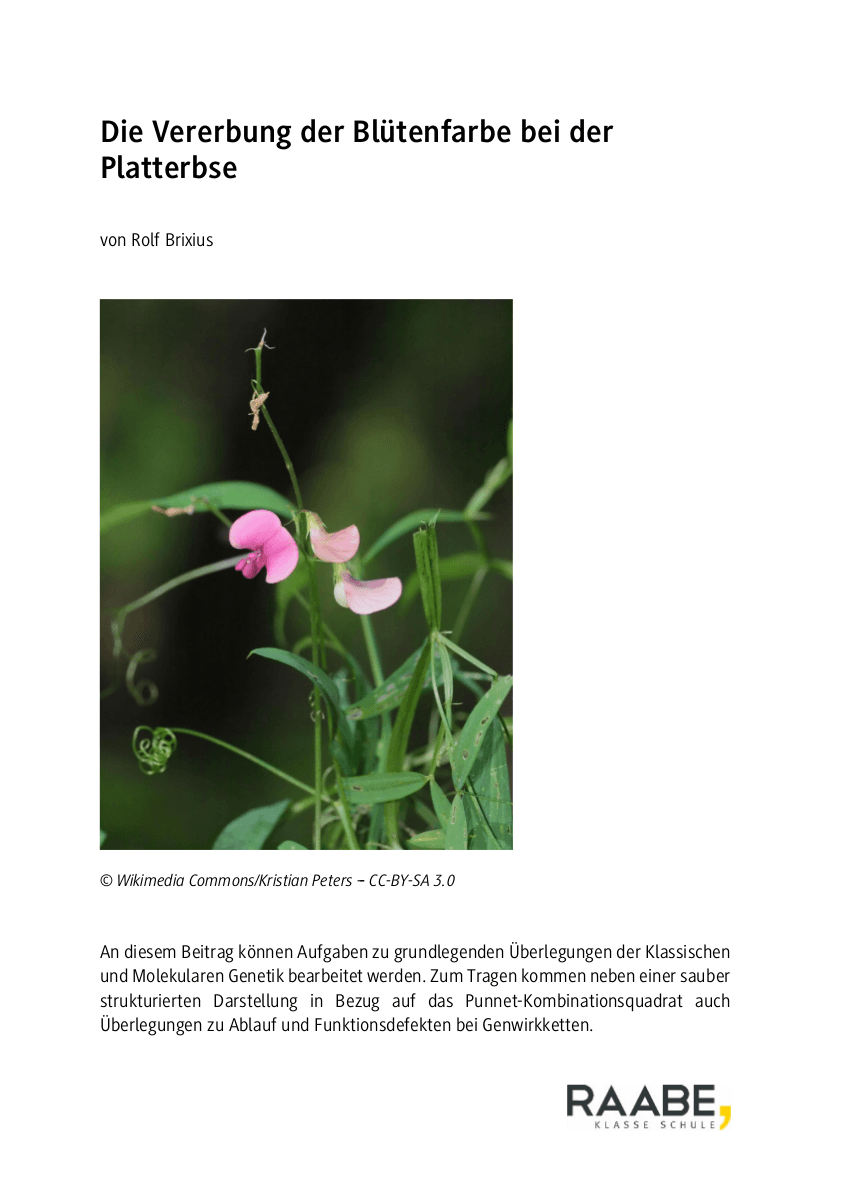 Die Vererbung der Blütenfabrbe bei der Platterbse