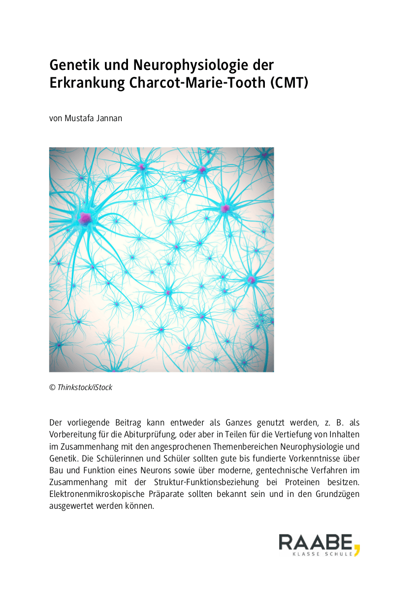 Genetik und Neurophysiologie der Erkrankung Marie-Charcot-Tooth