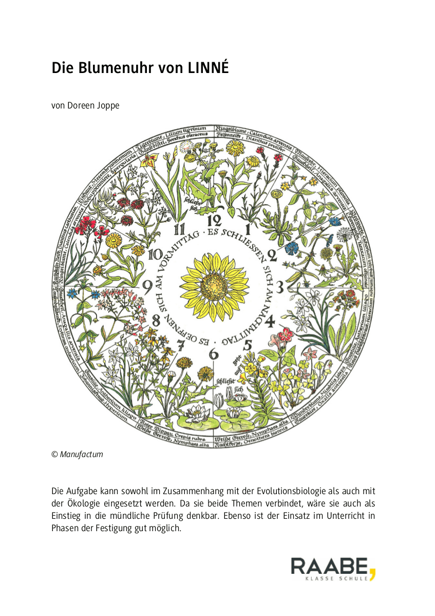 Die Blumenuhr von Linné