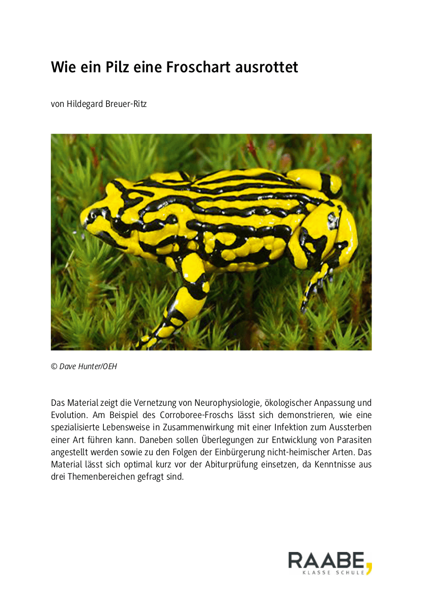 Wenn ein Pilz eine Froschart ausrottet