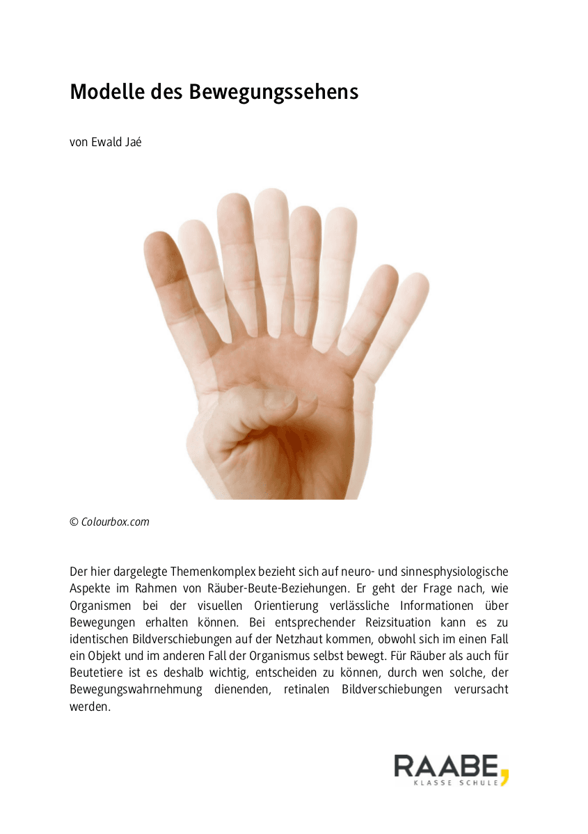 Modelle des Bewegungssehens