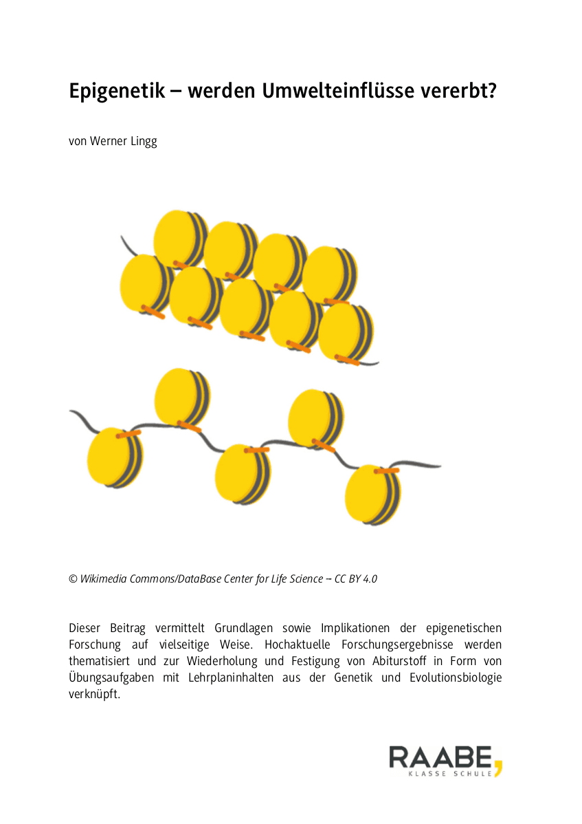 Epigenetik