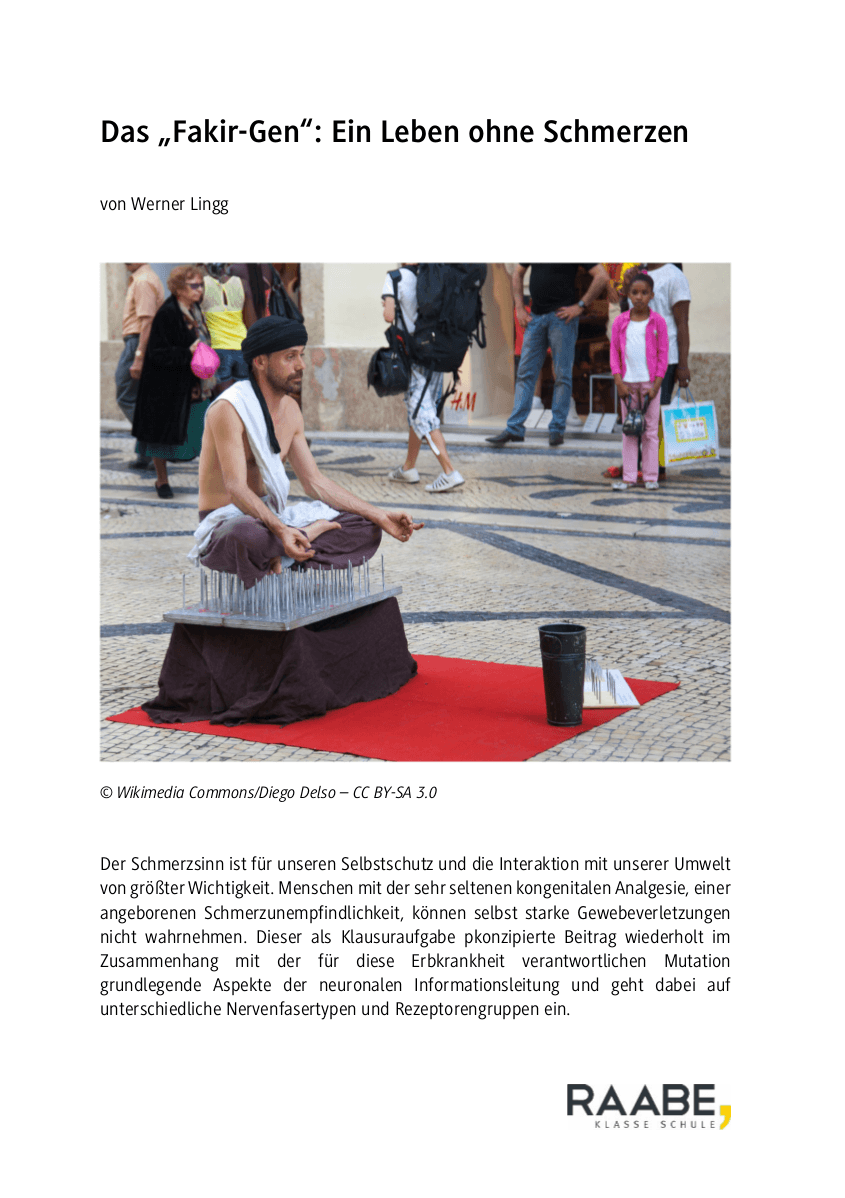 Das "Fakir-Gen"