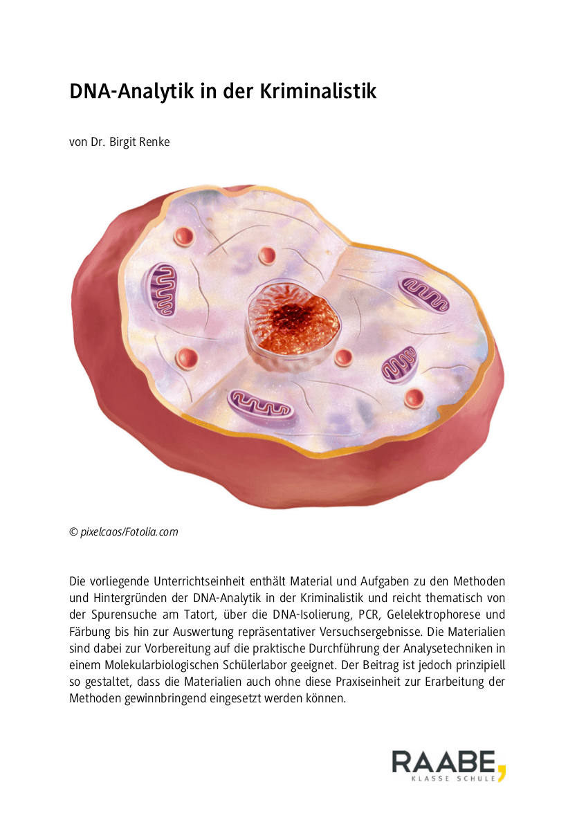 DNA-Analytik in der Kriminalistik