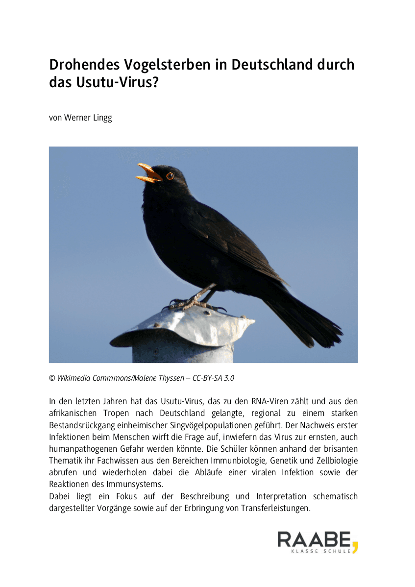 Drohendes Vogelsterben in Deutschland durch das Usutu-Virus