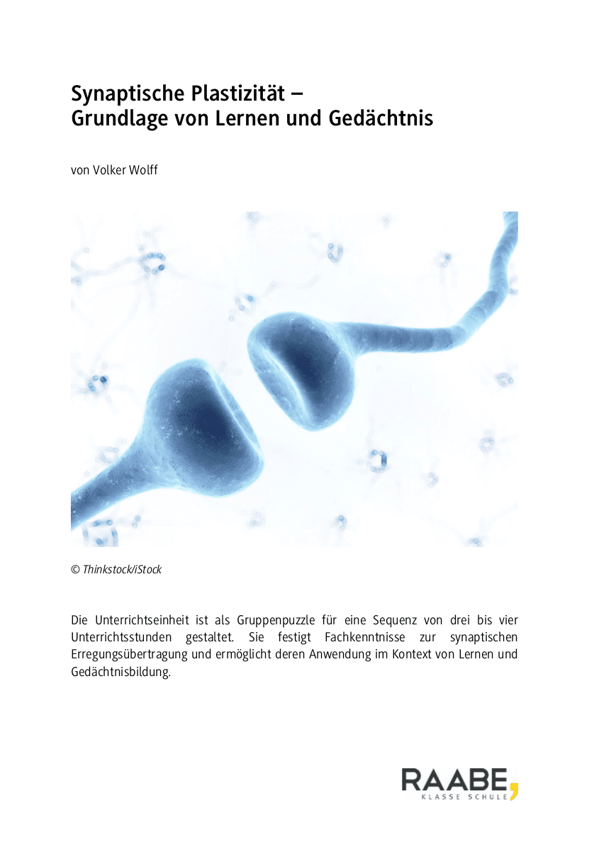 Synaptische Plastizität