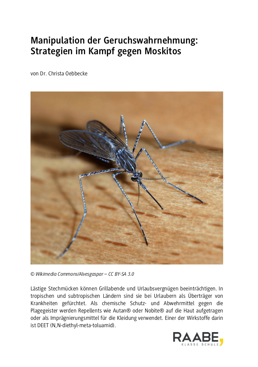 Manipulation der Geruchswahrnehmung