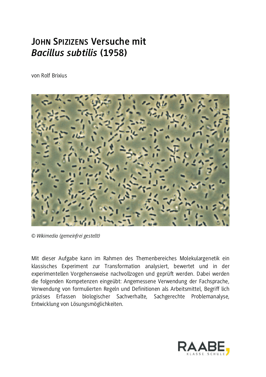 John Spizizens Versuche mit Bacillis subtilis (1958)
