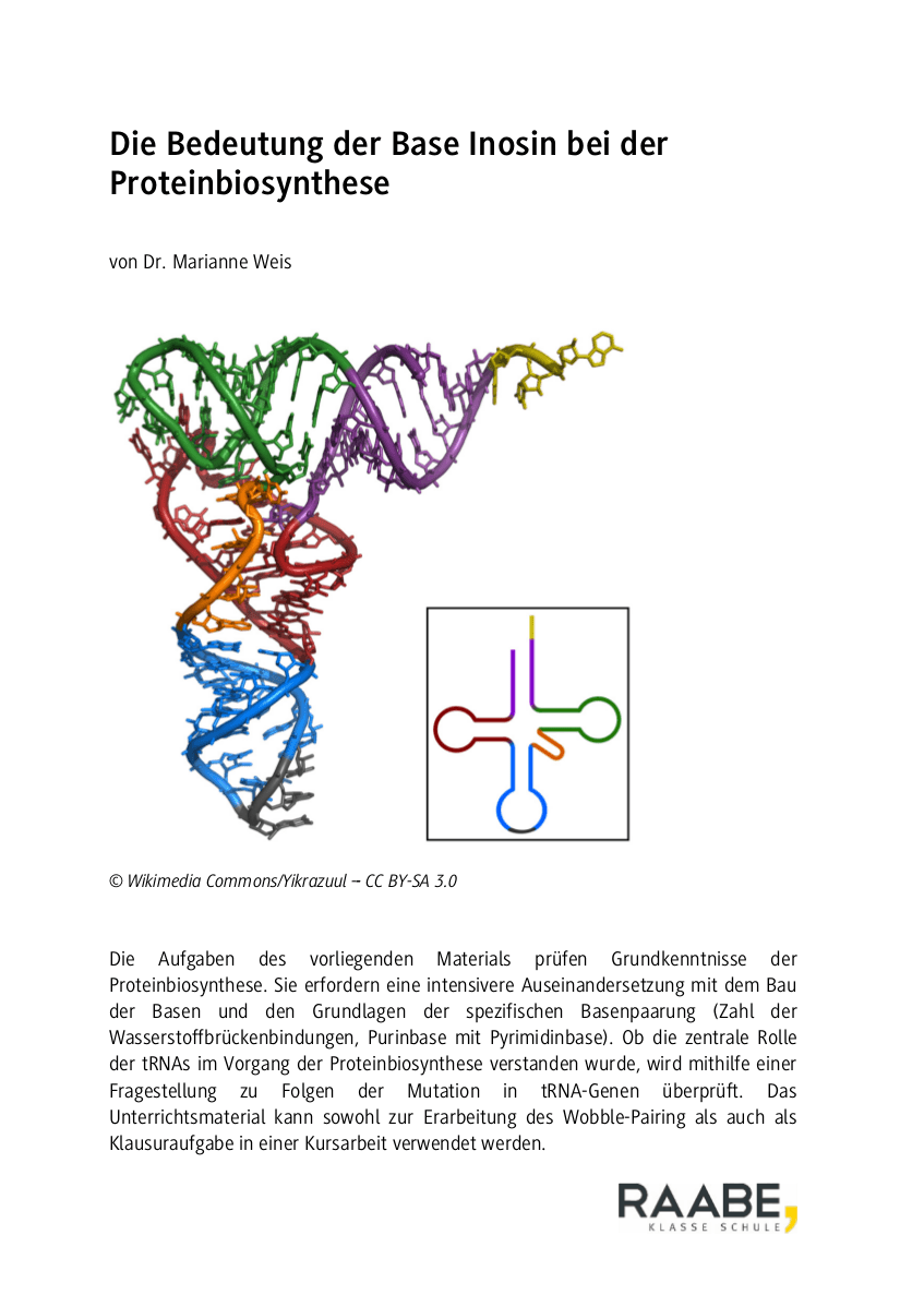 Die Bedeutung der Base Inosin bei der Proteinbiosynthese
