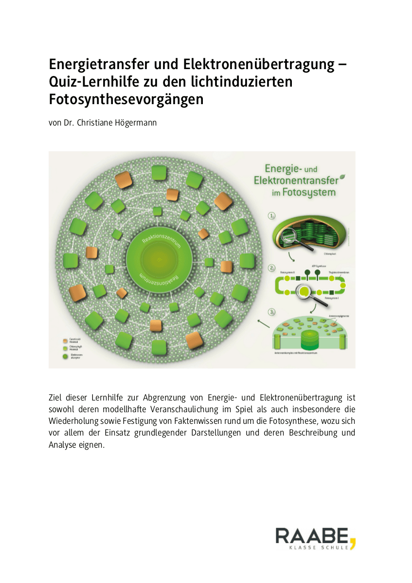Energietransfer und Elektronenübertragung