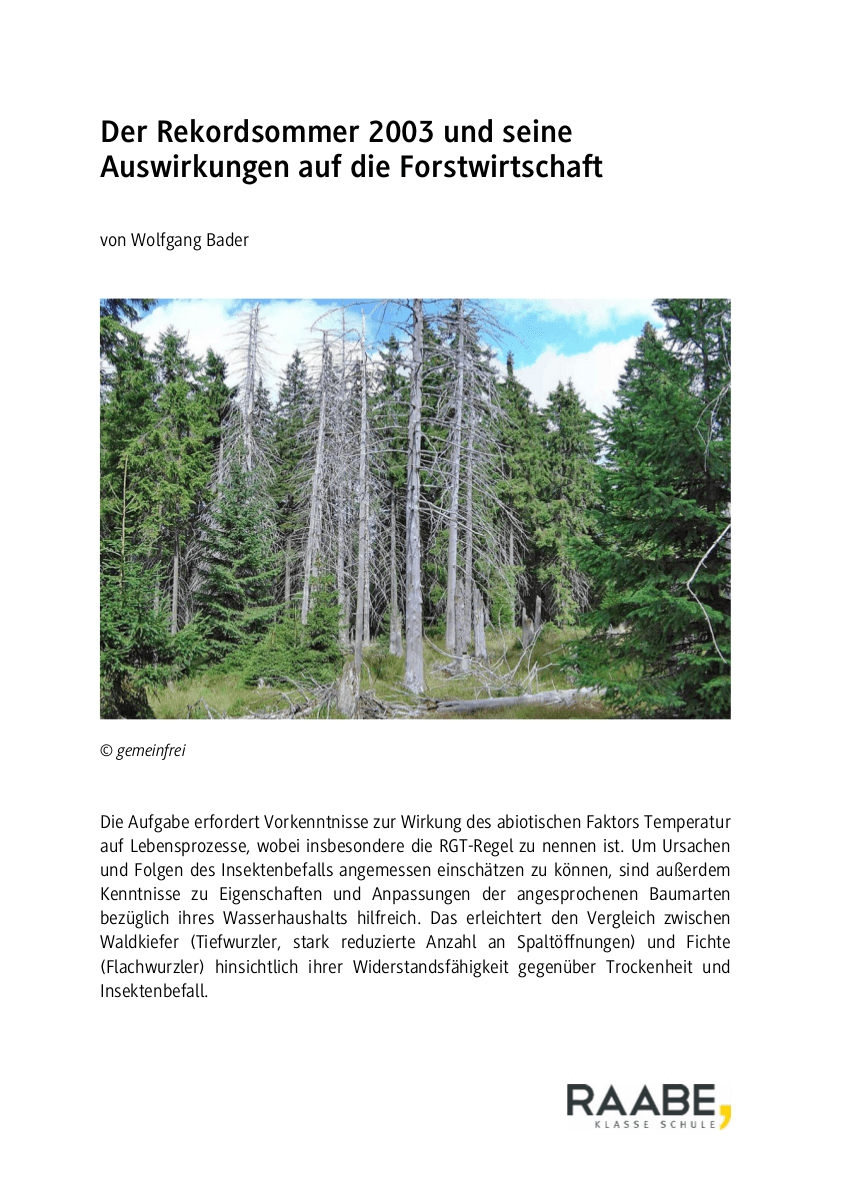 Der Rekordsommer 2003 und seine Auswirkungen auf die Forstwirtschaft