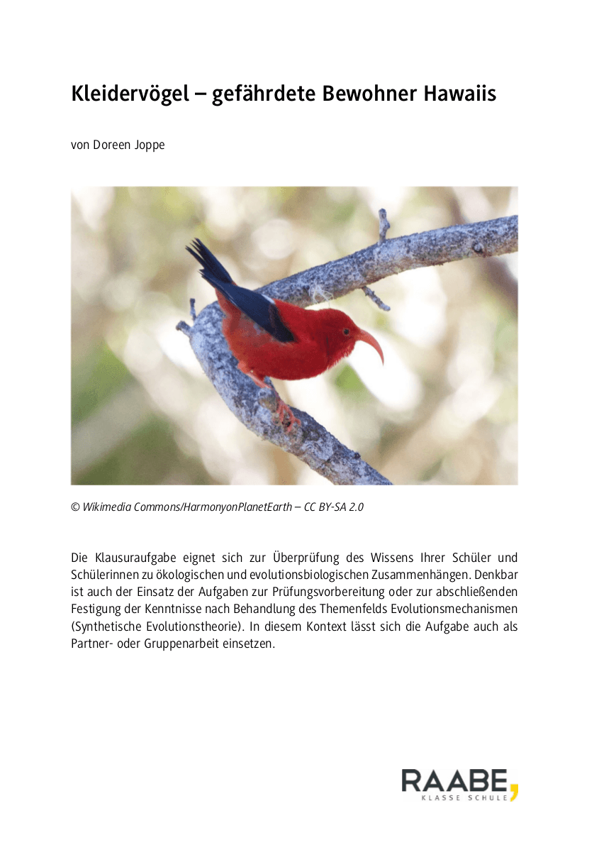 Kleidervögel