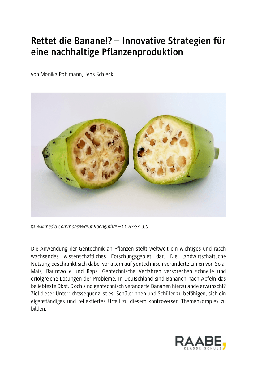 Rettet die Banane?!
