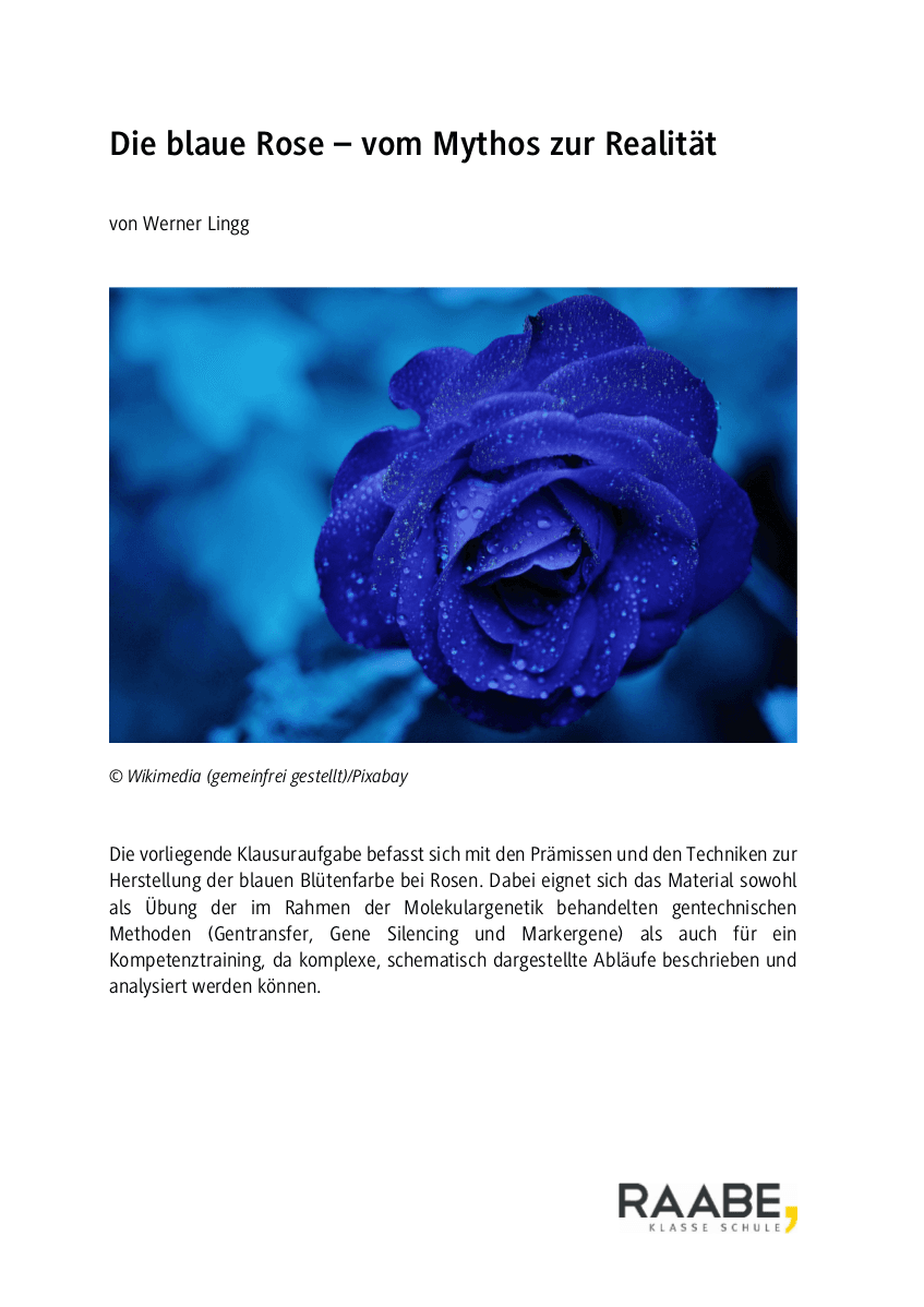 Die blaue Rose
