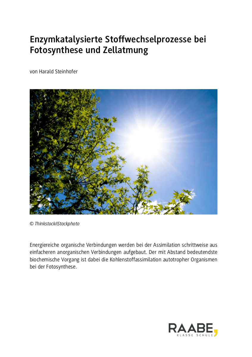Enzymkatalysierte Stoffwechselprozesse bei Fotosynthese und Zellatmung