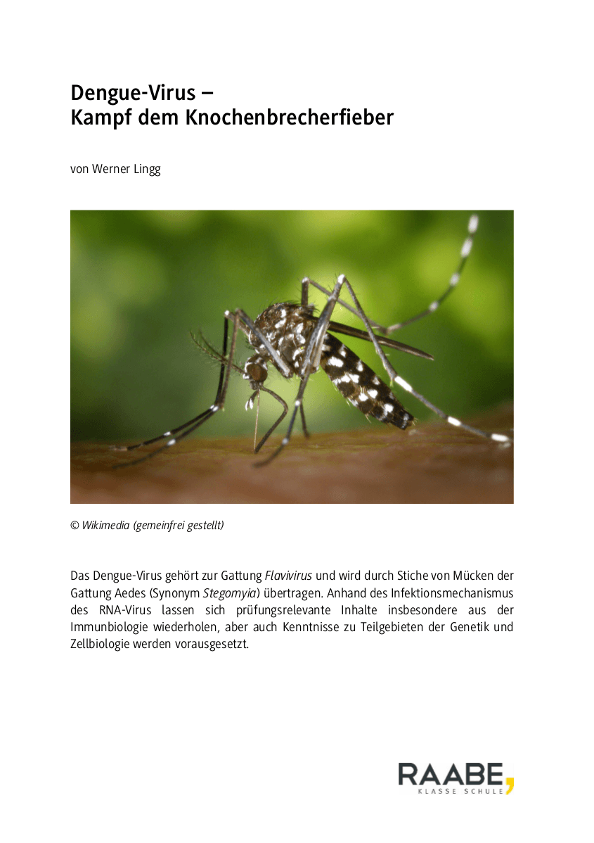 Dengue-Virus
