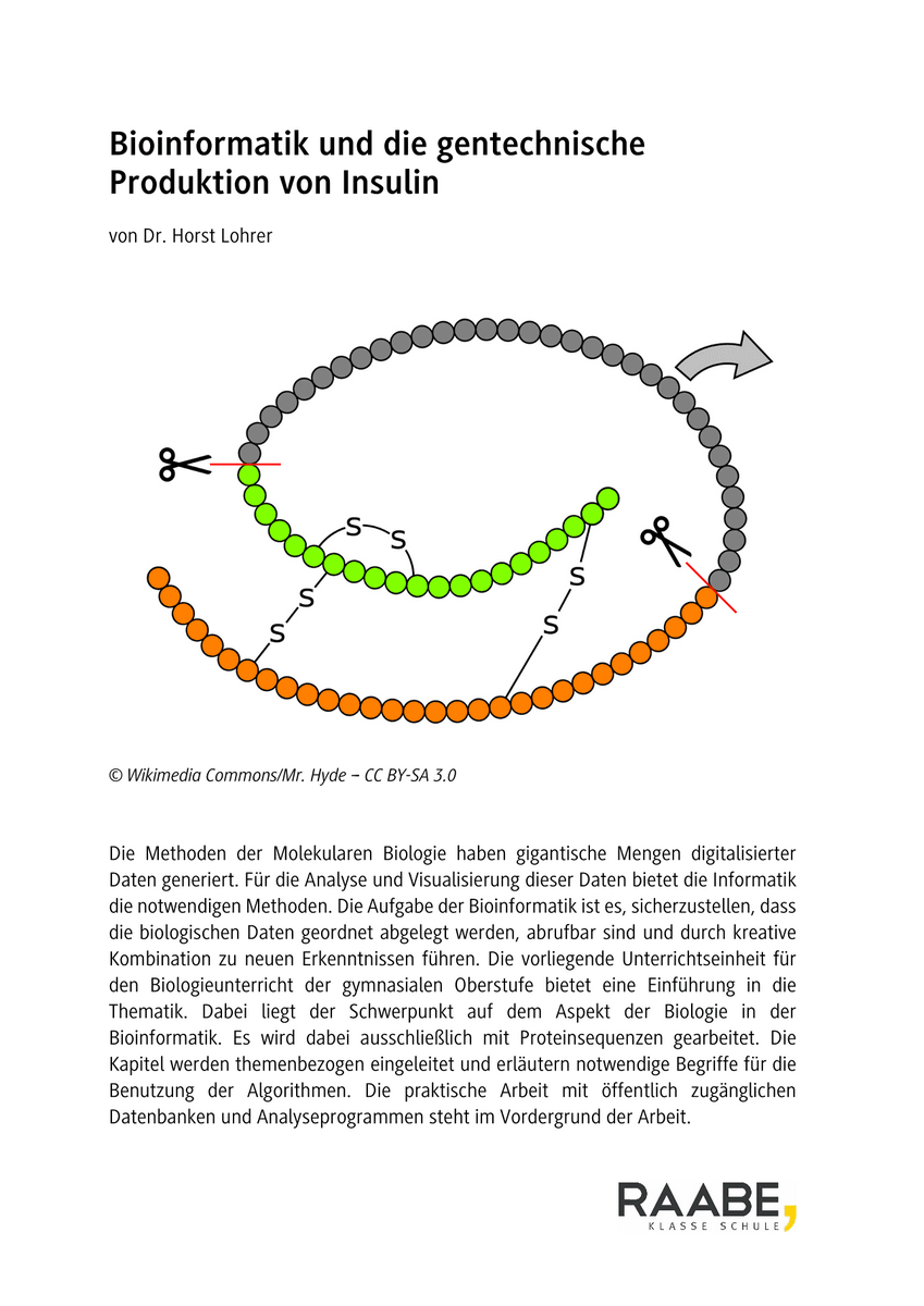 Bioinformatik und die gentechnische Produktion von Insulin