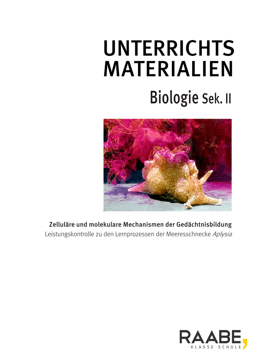 Zelluläre und molekulare Mechanismen der Gedächtnisbildung bei Aplysia