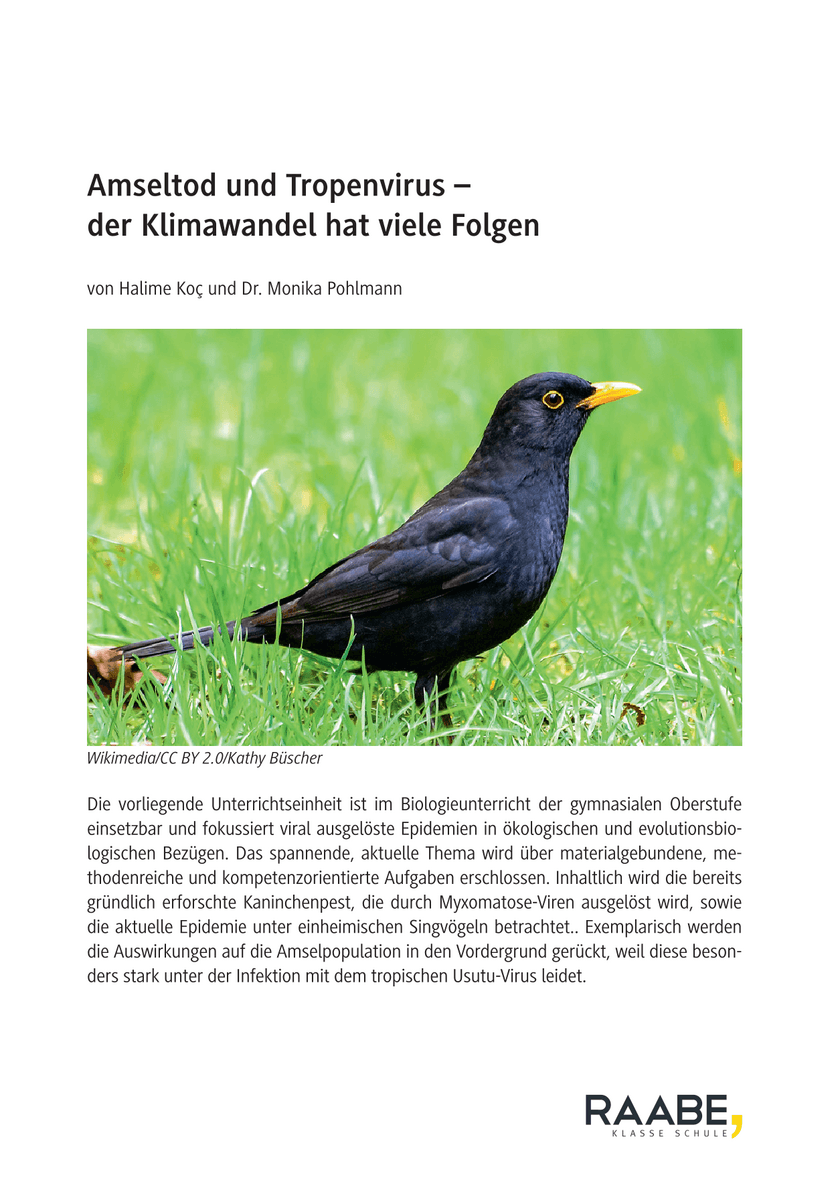 Amseltod und Tropenvirus