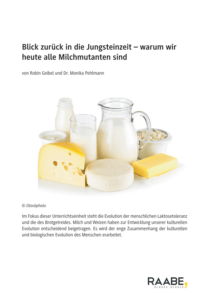Blick zurück in die Jungsteinzeit
