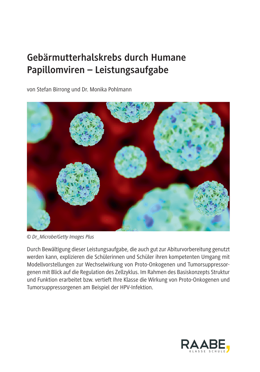 Gebärmutterhalskrebs durch Humane Papillomviren