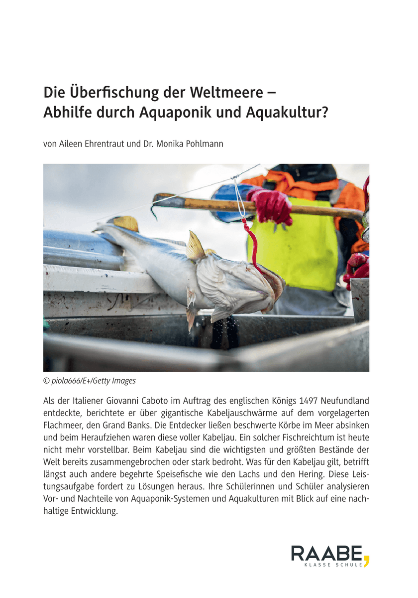 Die Überfischung der Weltmeere