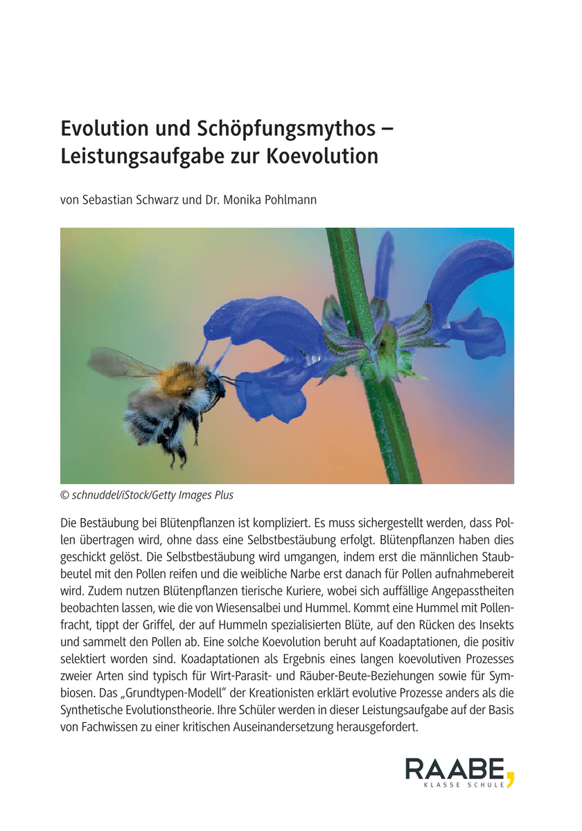 Evolution und Schöpfungsmythos