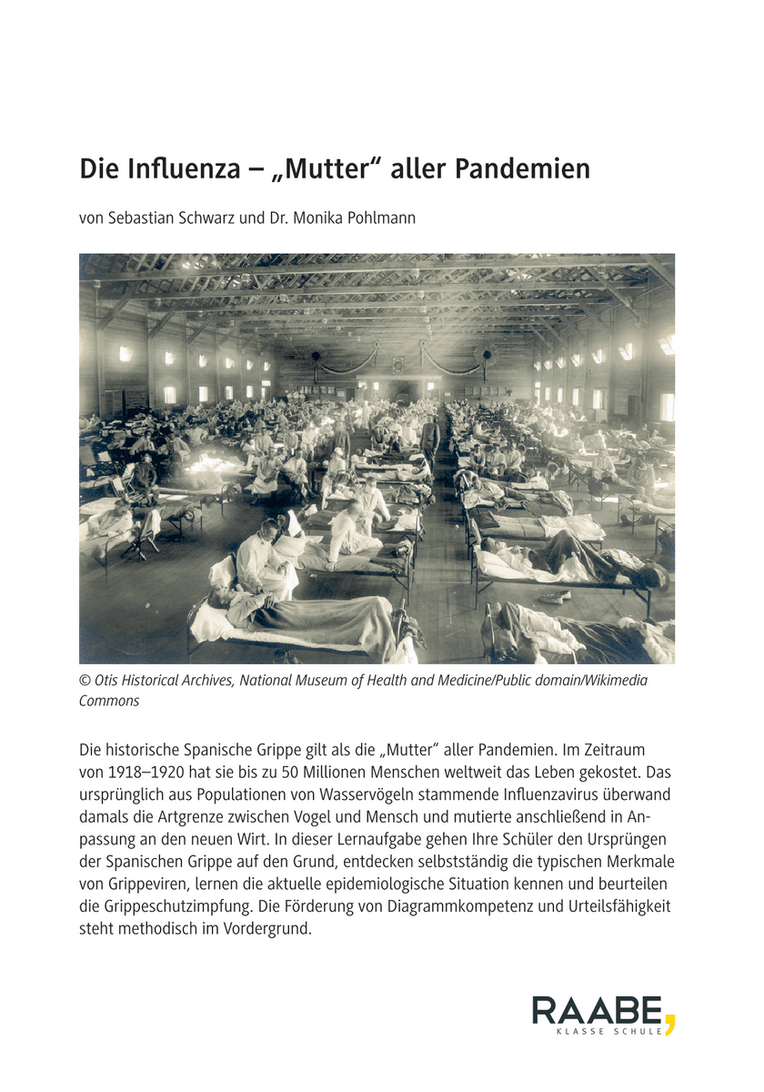 Die Influenza