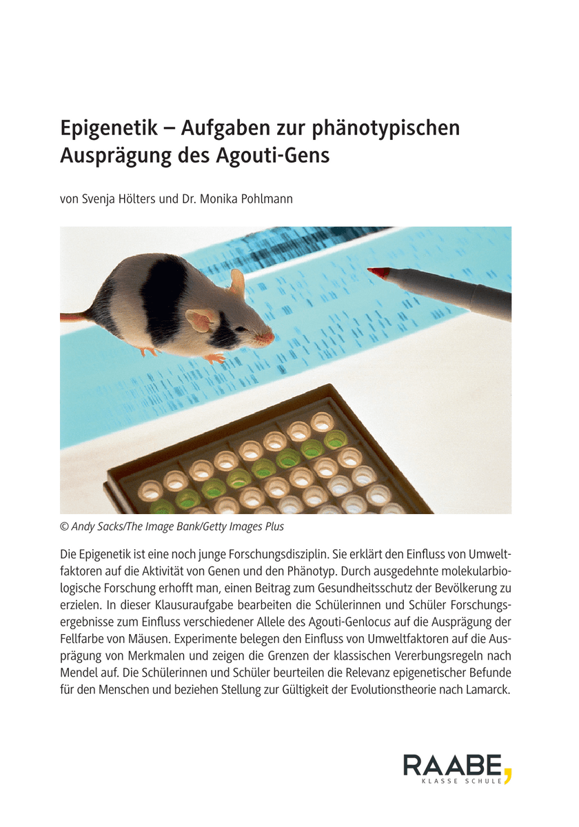Epigenetik