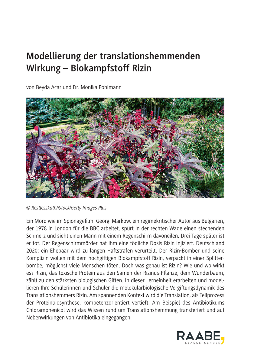 Modellierung der translationshemmenden Wirkung