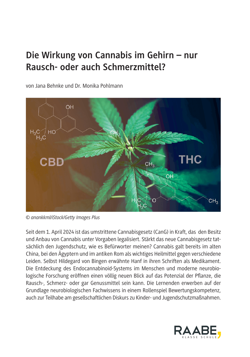 Die Wirkung von Cannabis im Gehirn