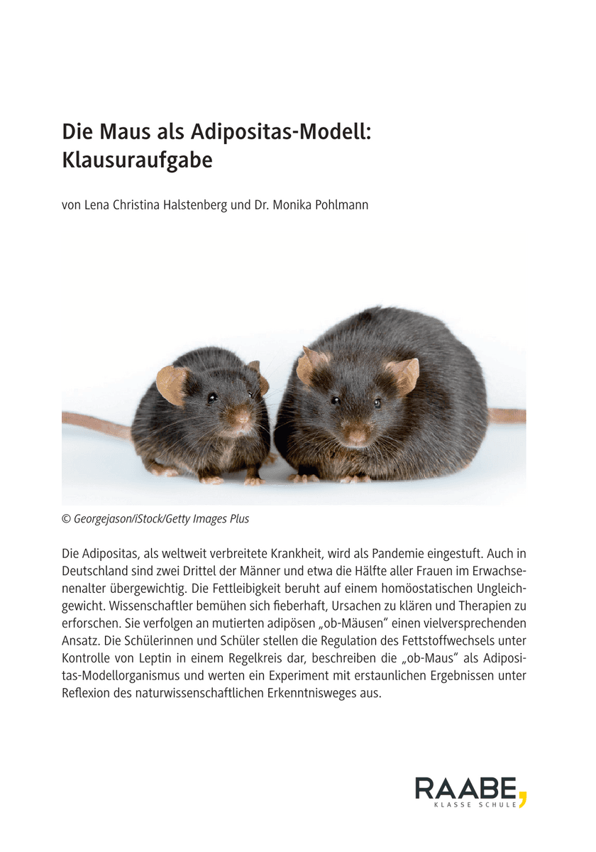 Die Maus als Adipositas-Modell