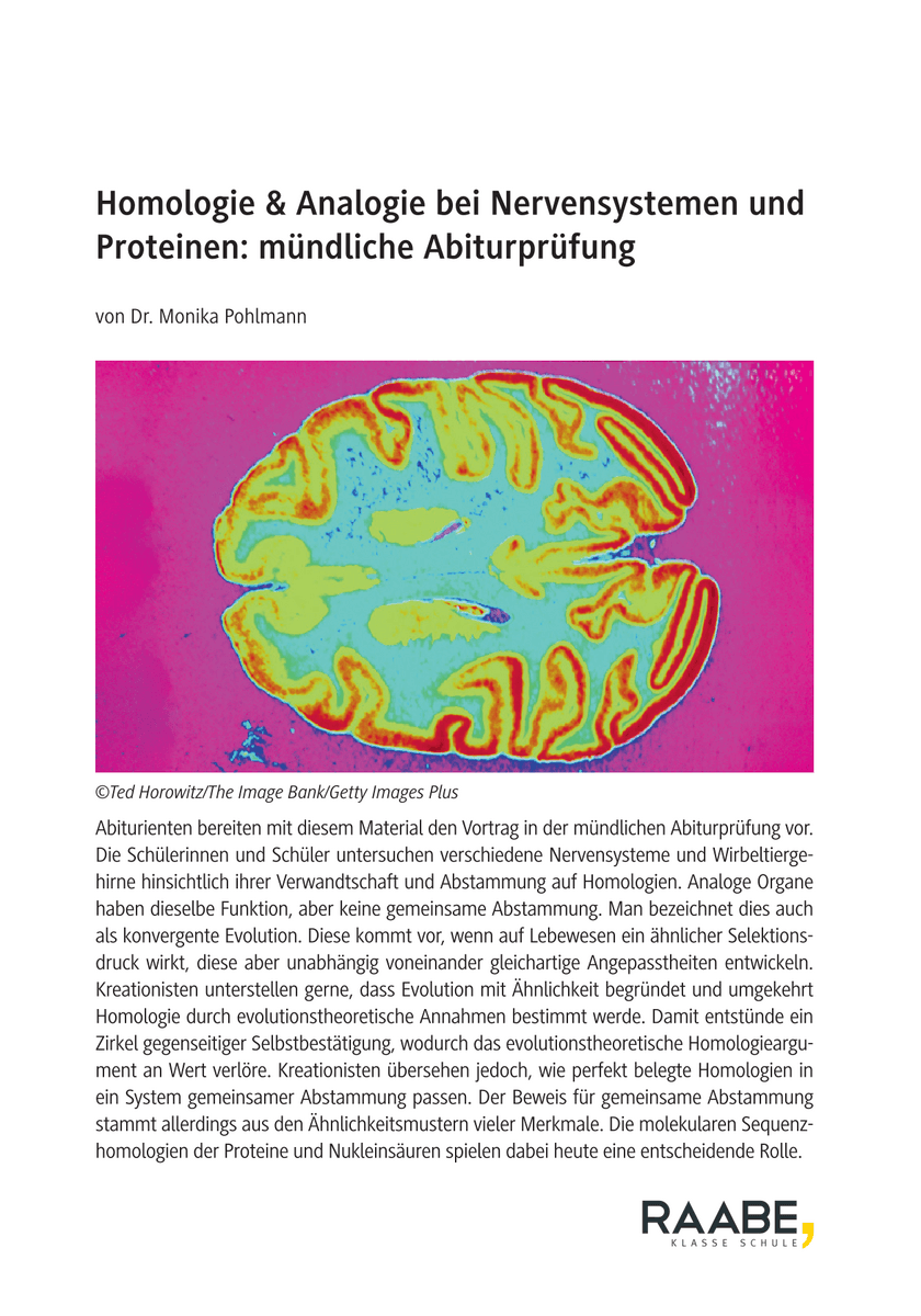 Homologie & Analogie bei Nervensystemen und Proteinen