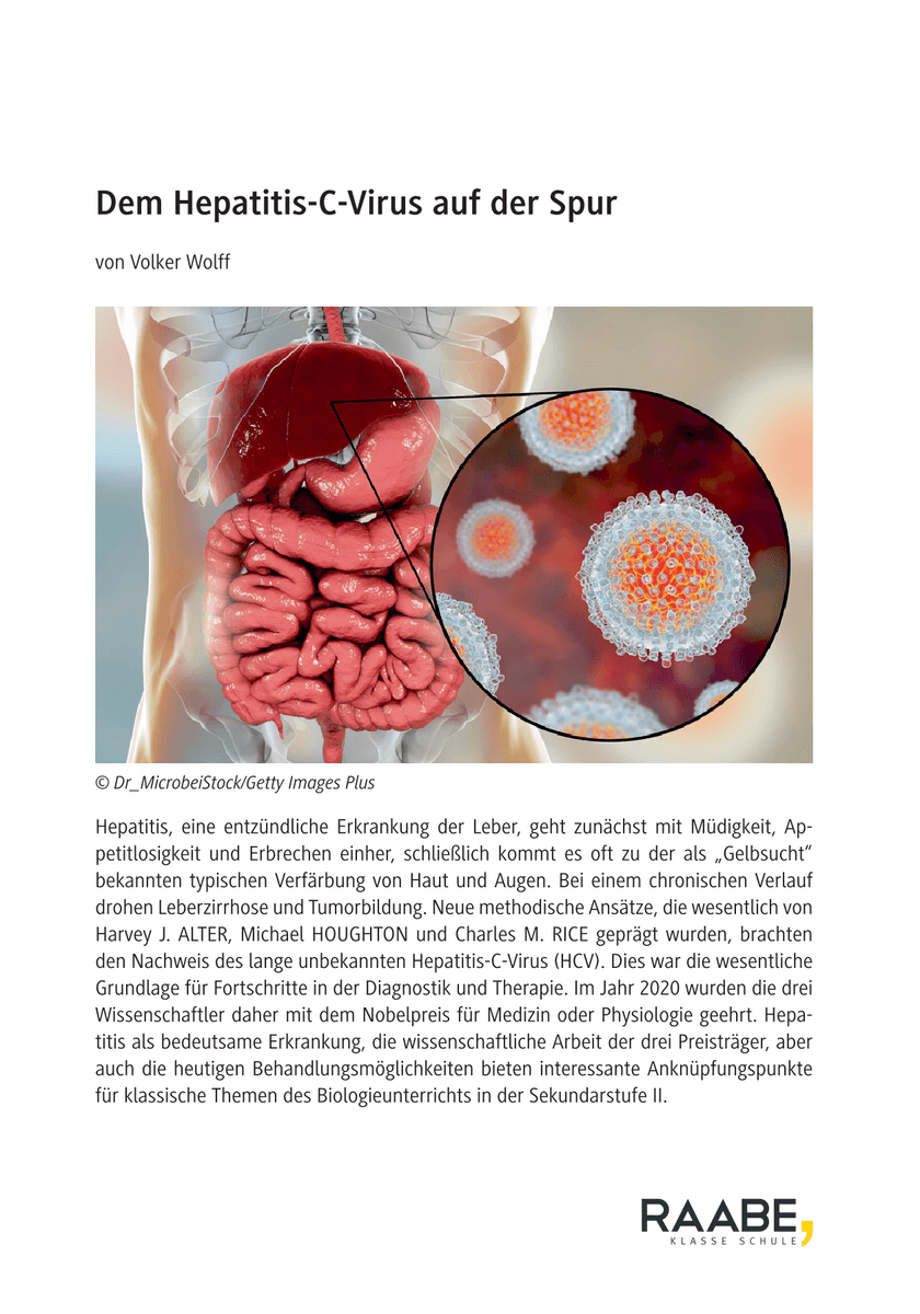 Dem Hepatitis-C-Virus auf der Spur