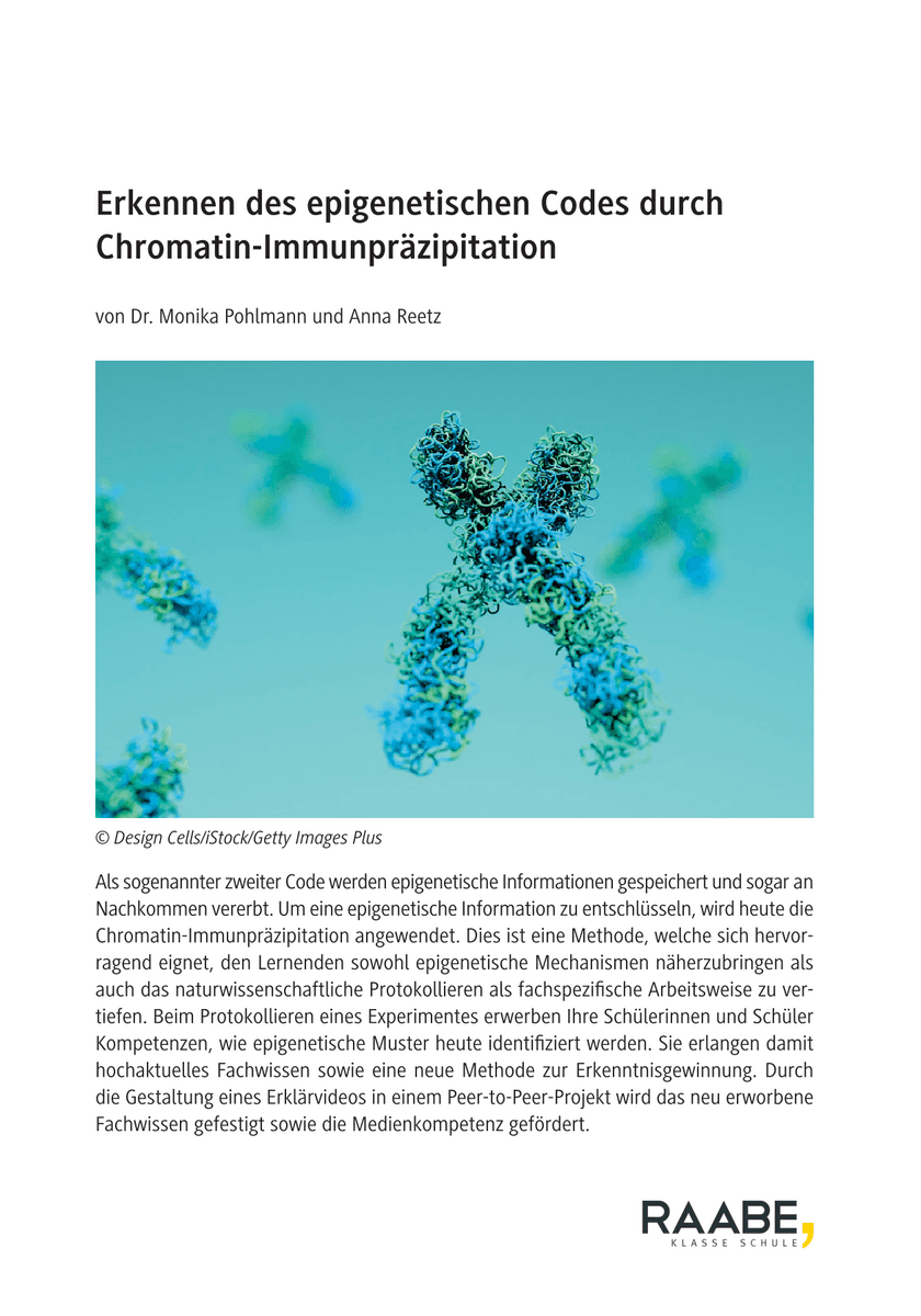 Erkennen des epigenetischen Codes durch Chromatin-Immunpräzipitation