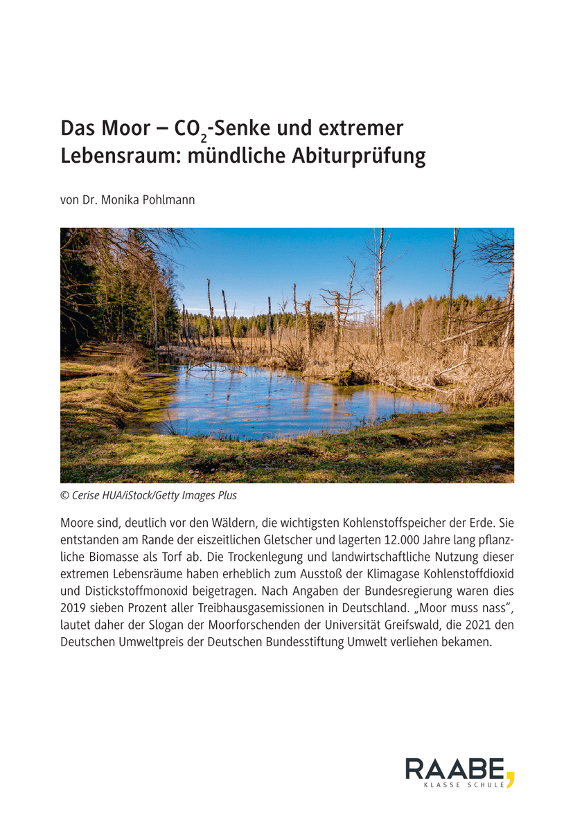 Das Moor
