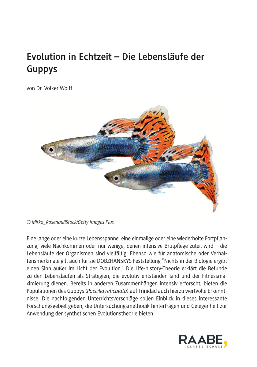 Evolution in Echtzeit
