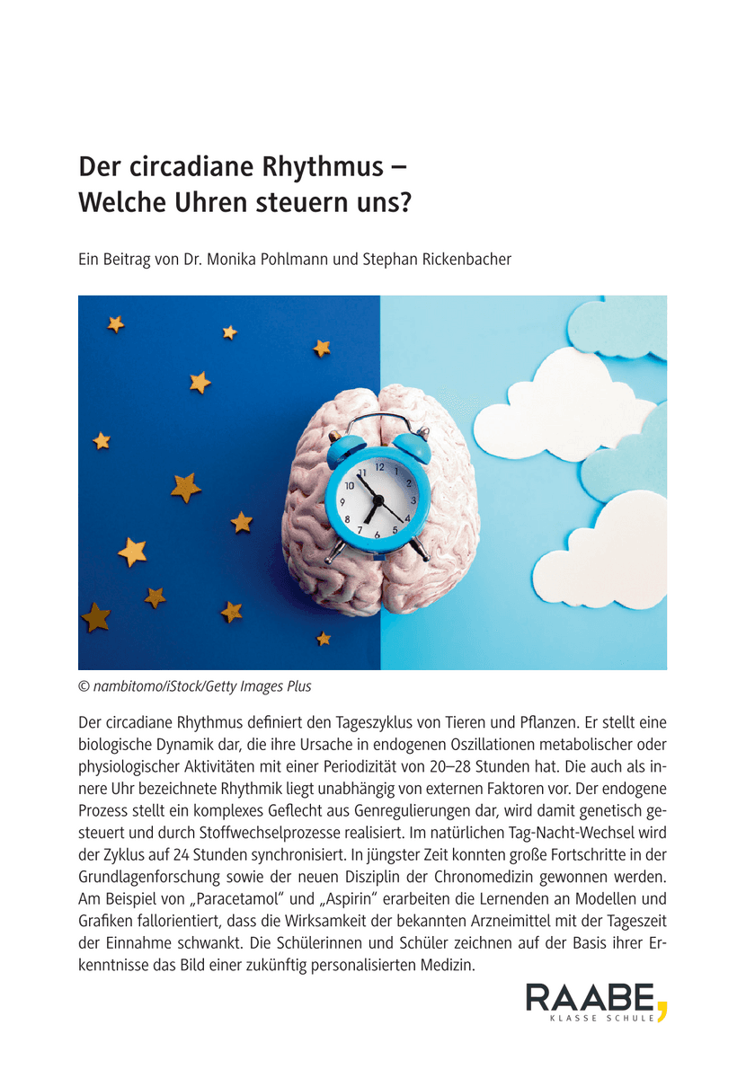 Der circadiane Rhythmus