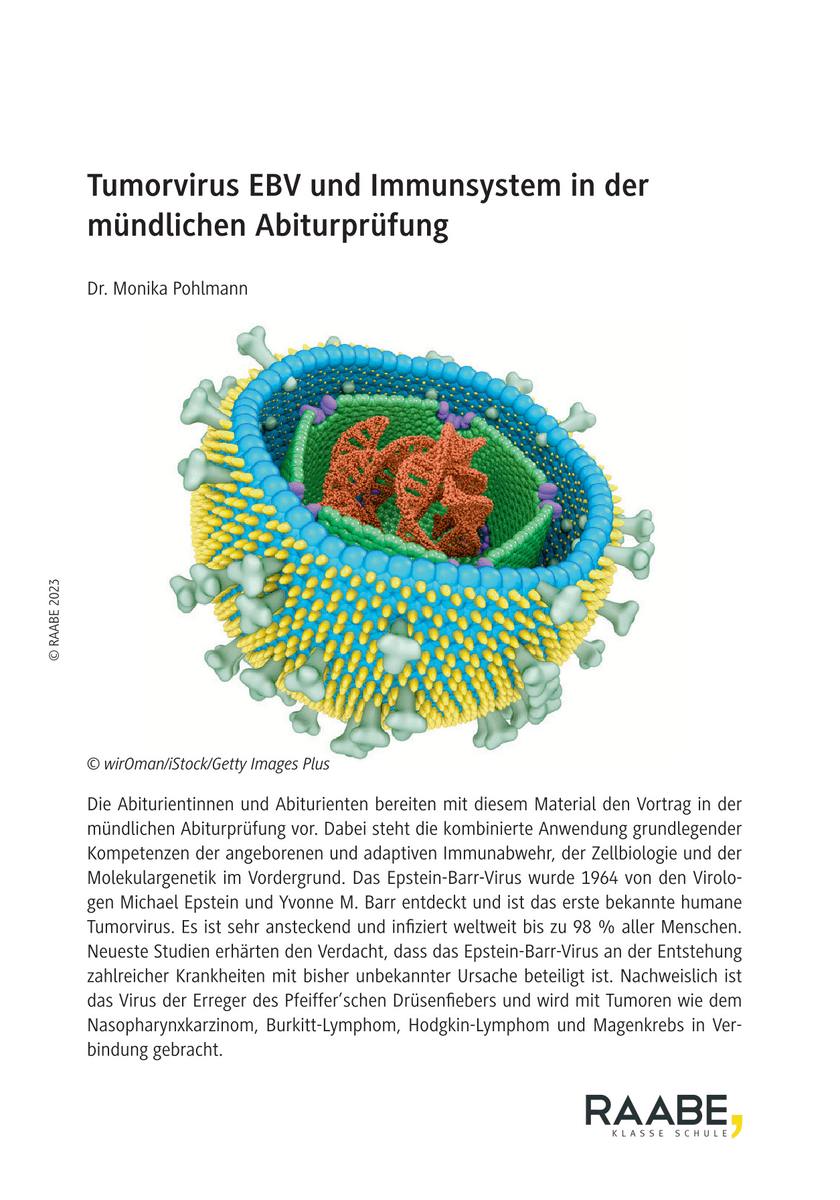 Tumorvirus EBV und Immunsystem in der mündlichen Abiturprüfung