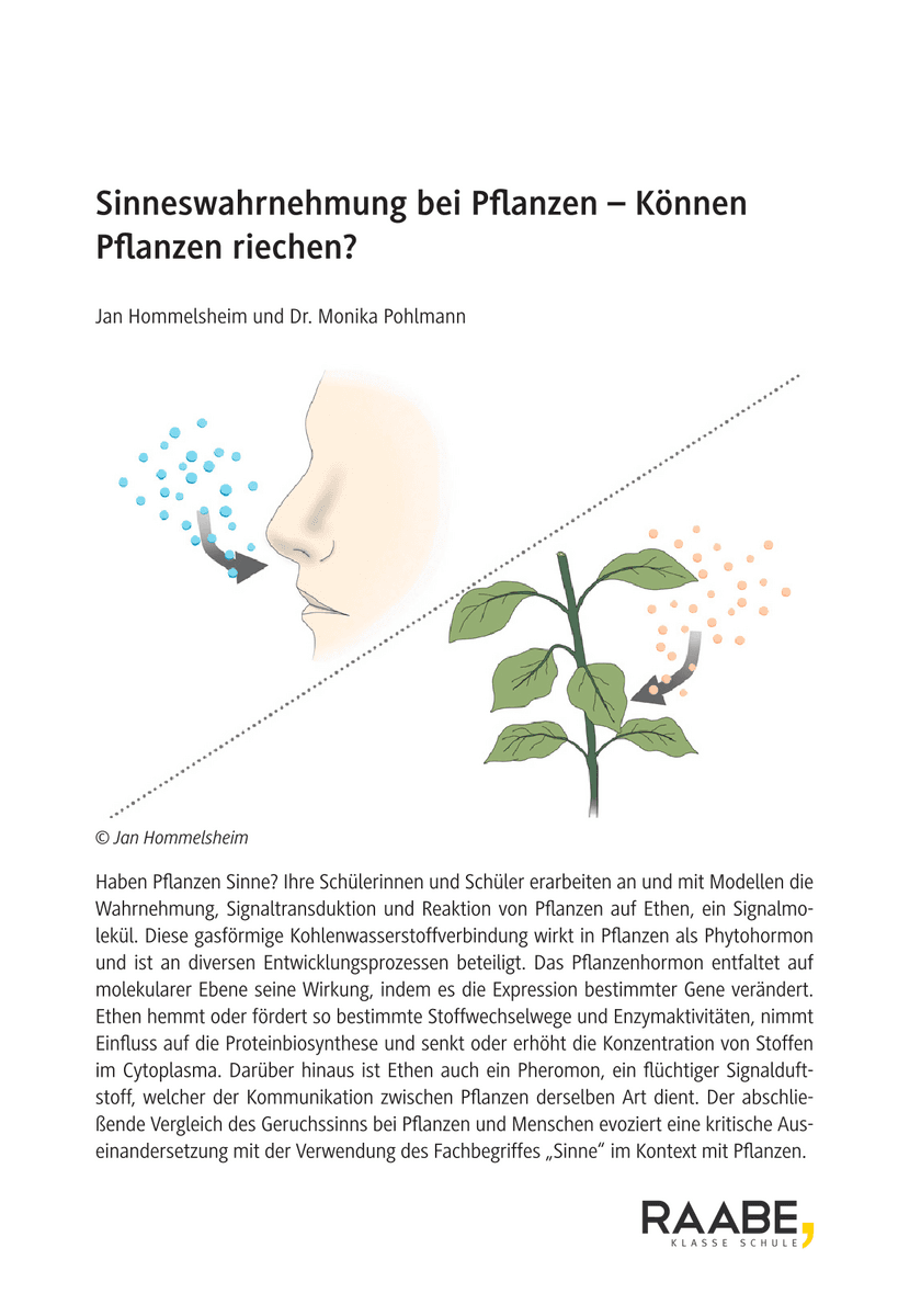 Sinneswahrnehmung bei Pflanzen