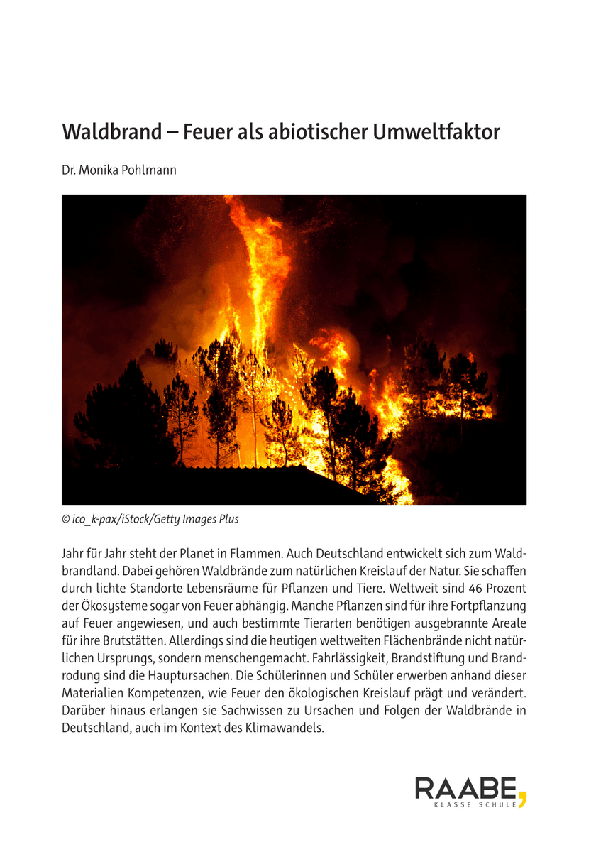 Waldbrand