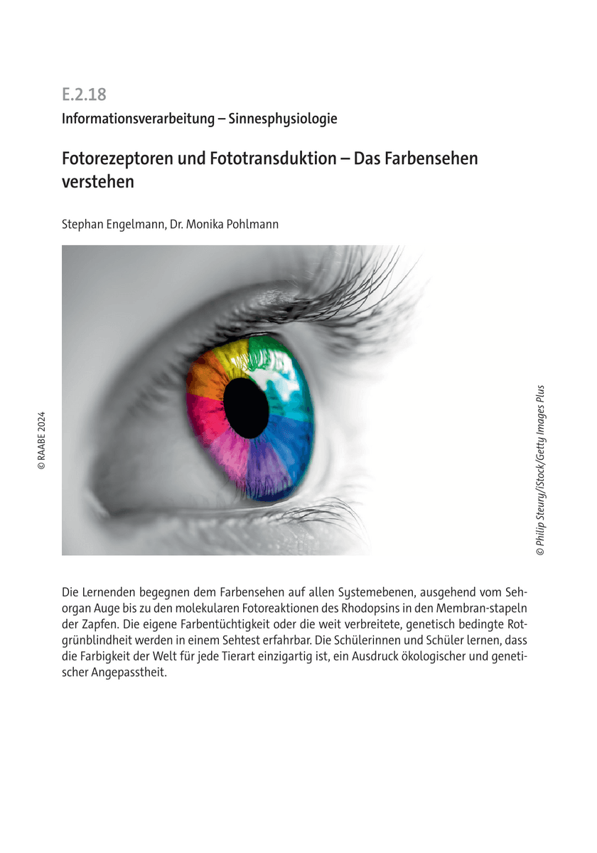 Fotorezeptoren und Fototransduktion
