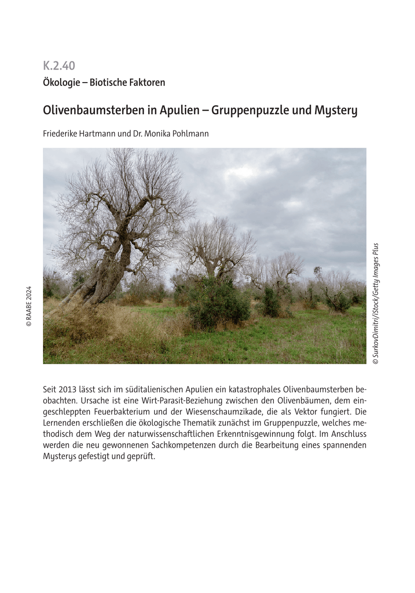 Olivenbaumsterben in Apulien