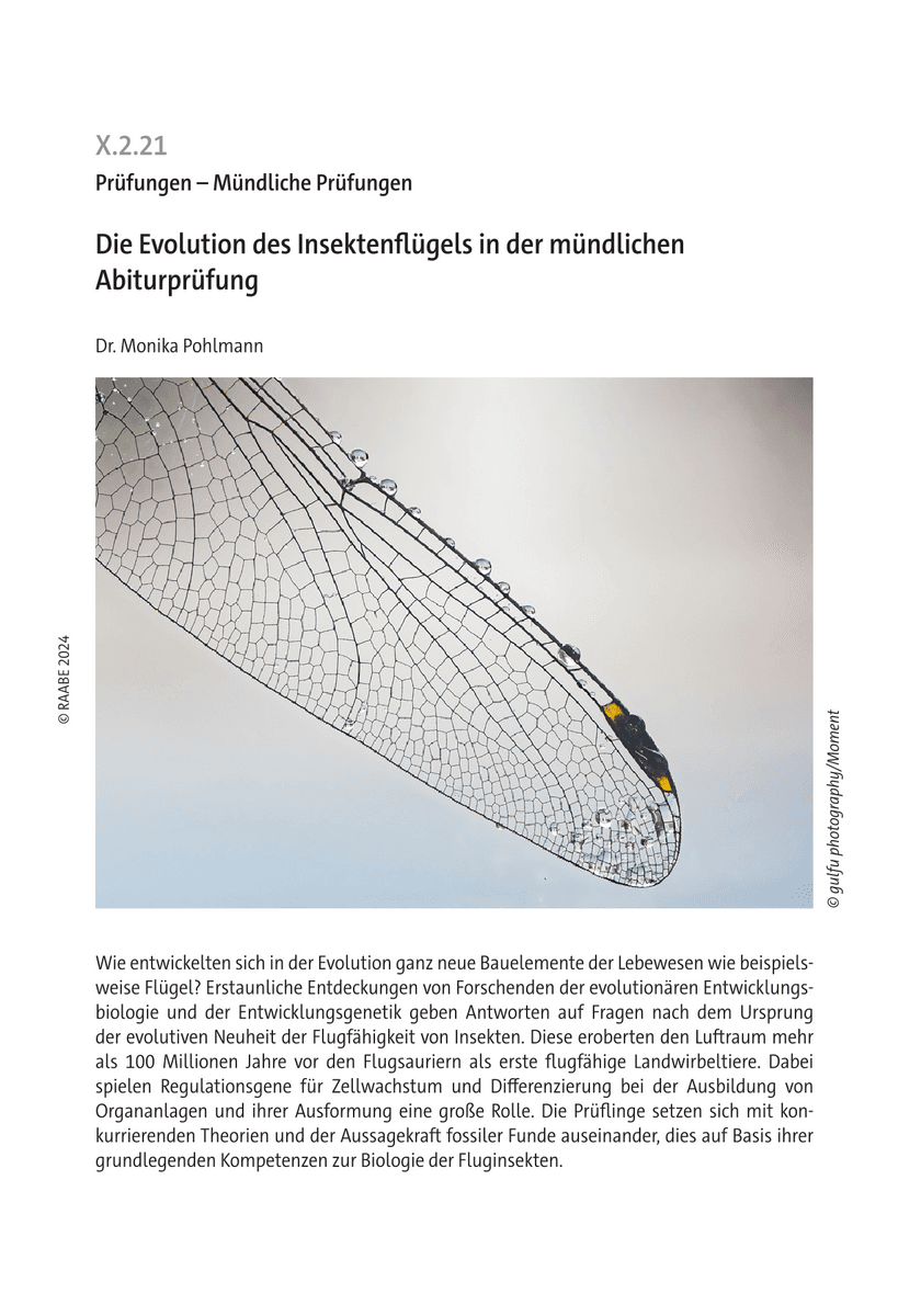 Die Evolution des Insektenflügels in der mündlichen Abiturprüfung